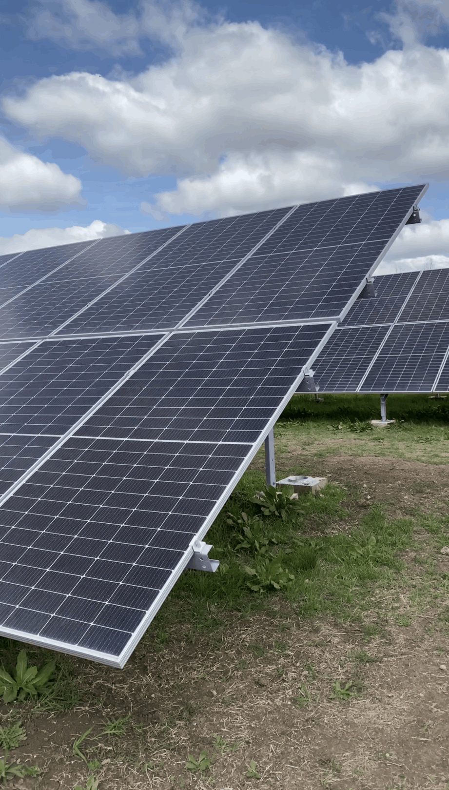 Parque Solar SC Johnson